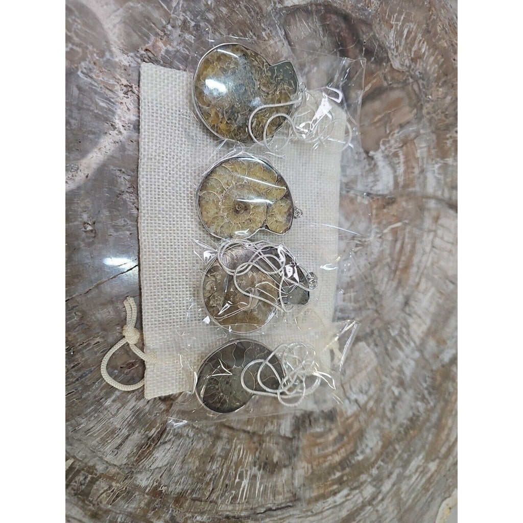 Ammonite Necklace Handmade 1 Pcs With 18in Silver Chain