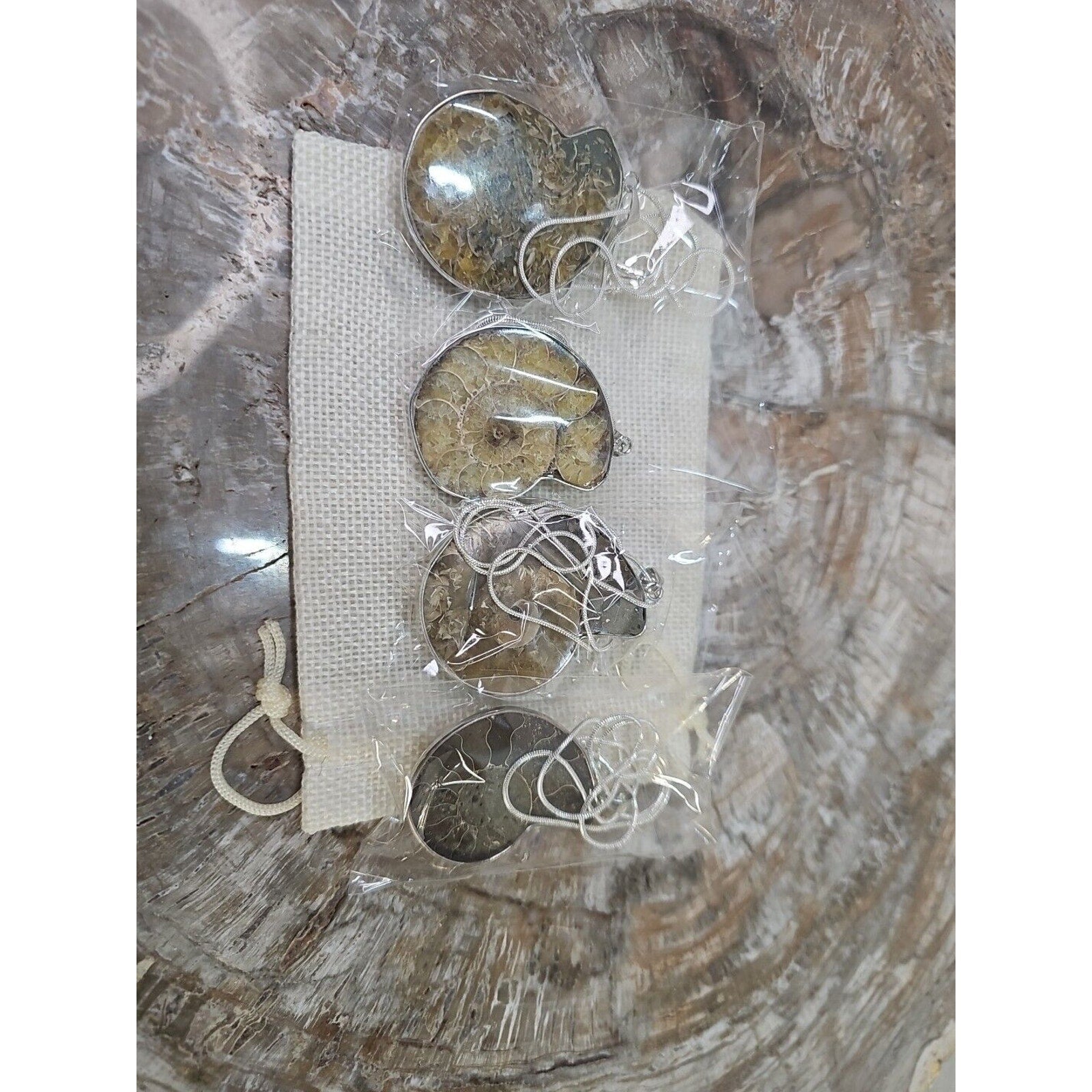 Ammonite Necklace Handmade 1 Pcs With 18in Silver Chain