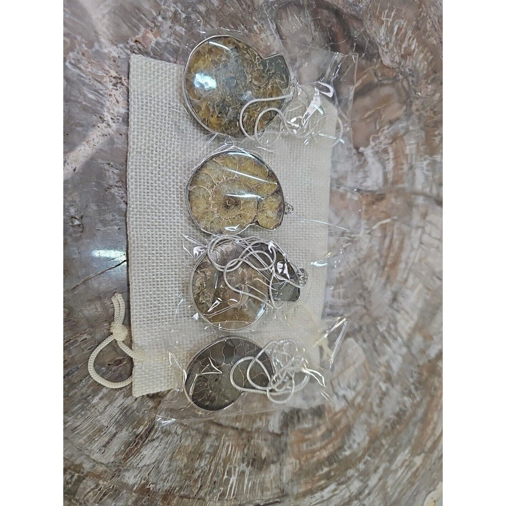 Ammonite Necklace Handmade 1 Pcs With 18in Silver Chain