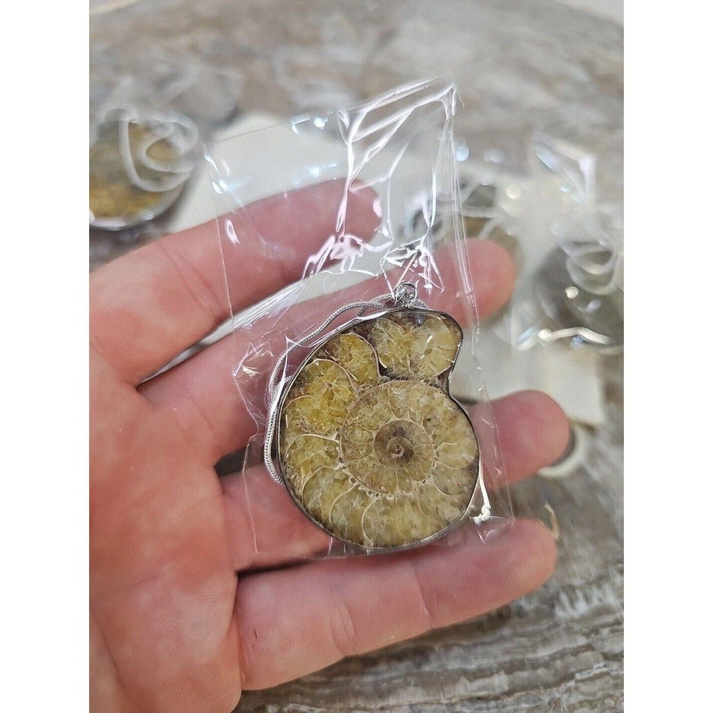 Ammonite Necklace Handmade 1 Pcs With 18in Silver Chain