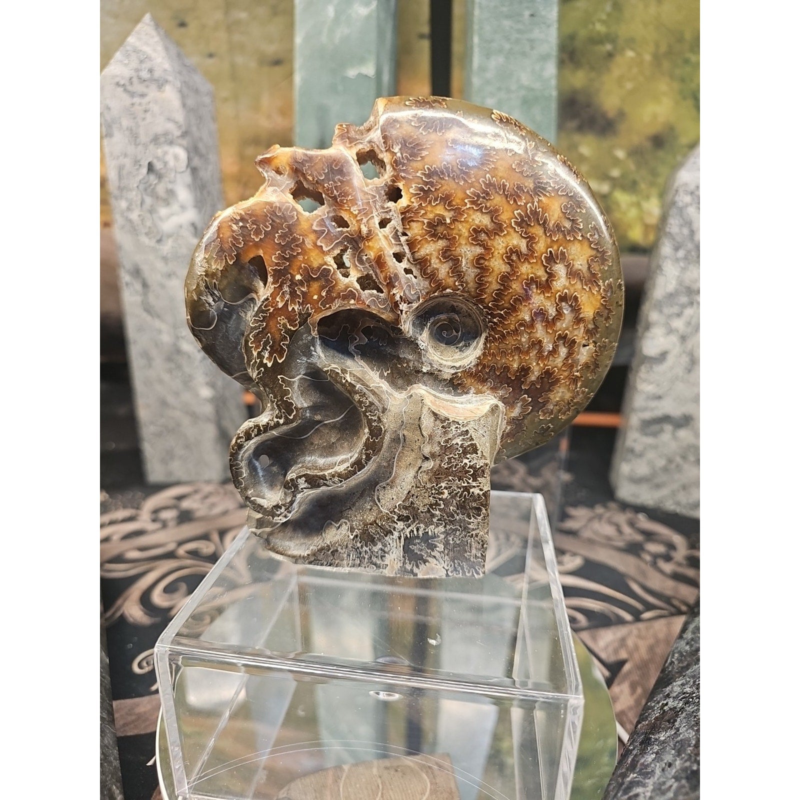 1.32LB Rare! Natural Tentacle Ammonite FossilSpecimen Shell Healing Madagascar