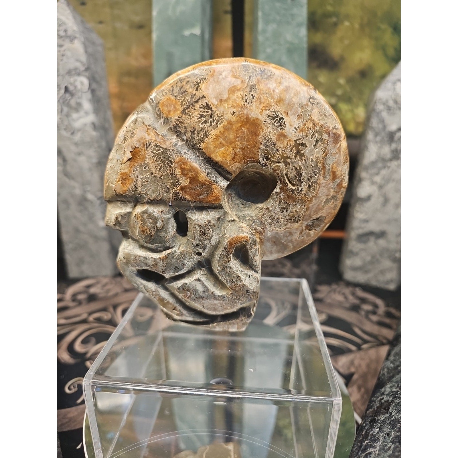 1.12LB Natural Madagascar Ammonite Fossil - Ancient Geometry Specimen | CrystalCloud Company