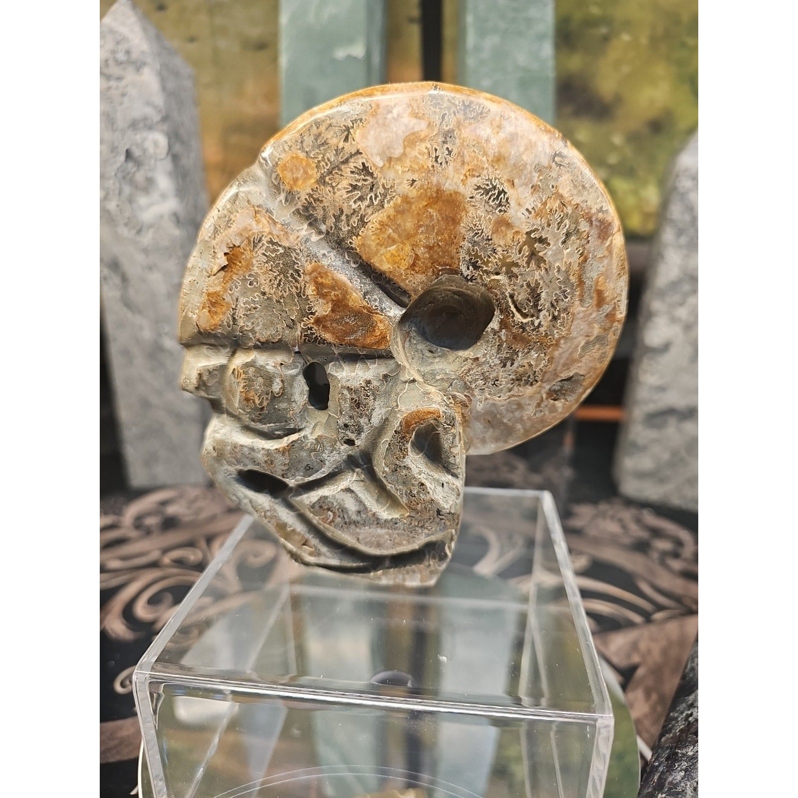 1.12LB Natural Madagascar Ammonite Fossil - Ancient Geometry Specimen | CrystalCloud Company