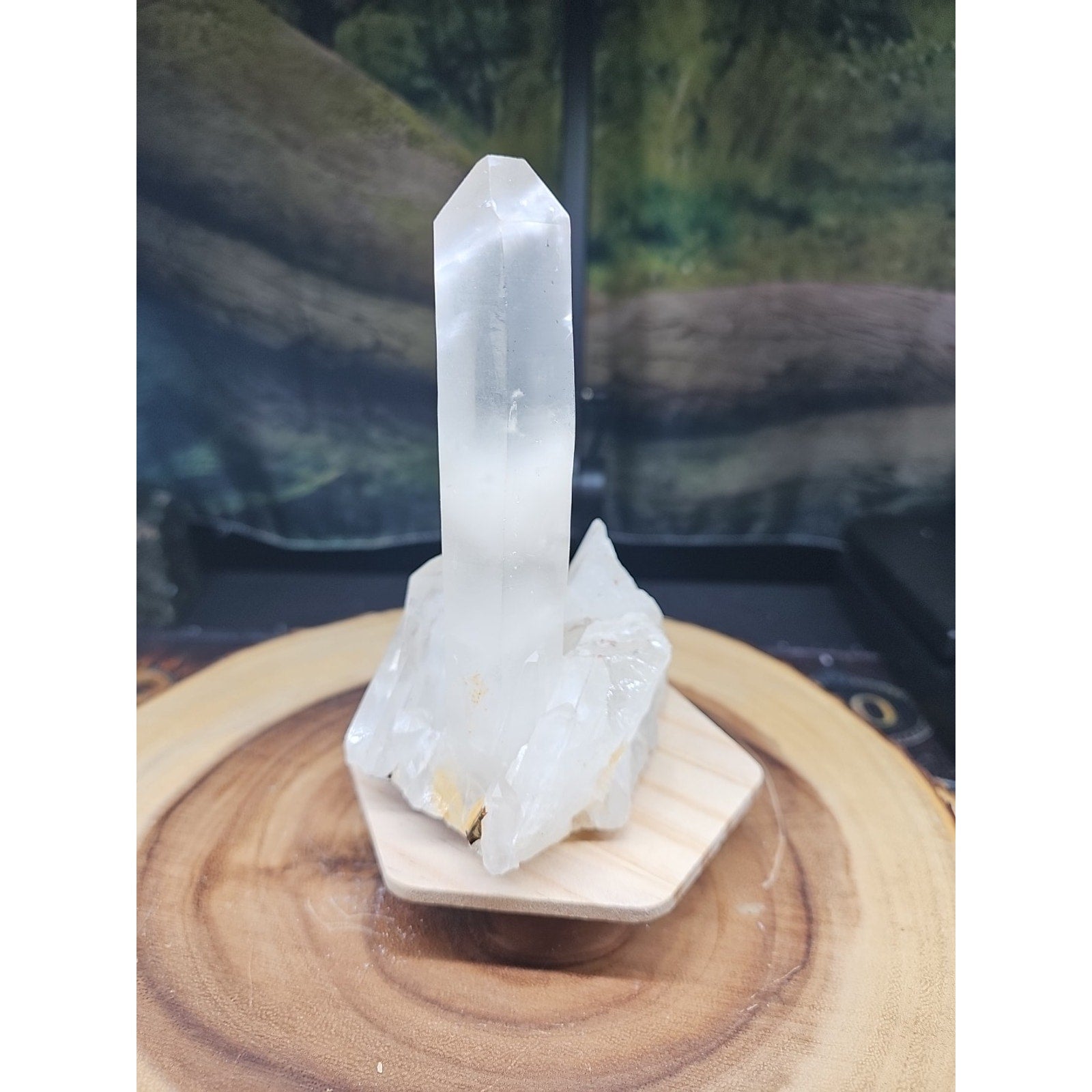 1.28LB Natural Clear White Quartz Crystal Cluster Energy Healing Specimen
