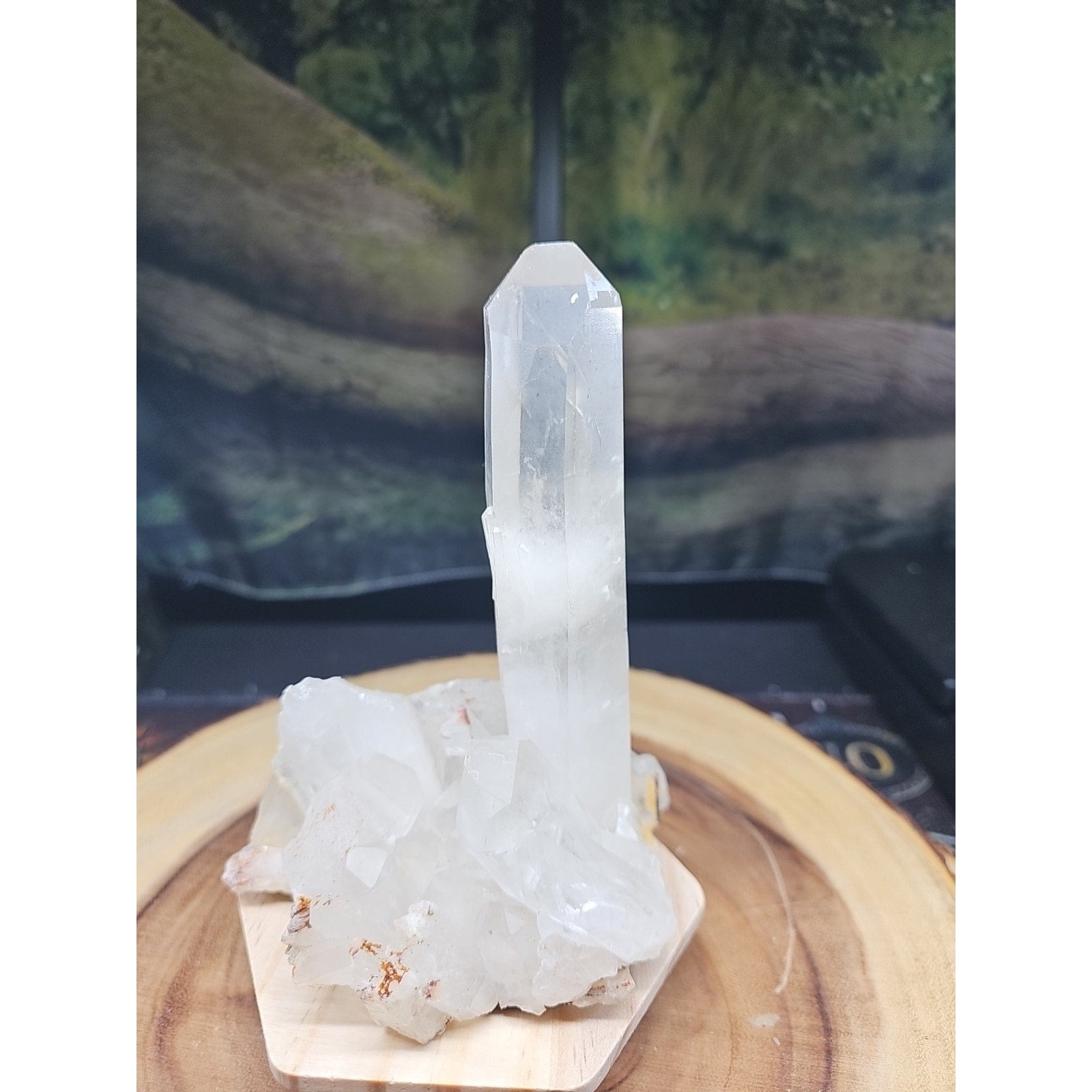 1.28LB Natural Clear White Quartz Crystal Cluster Energy Healing Specimen