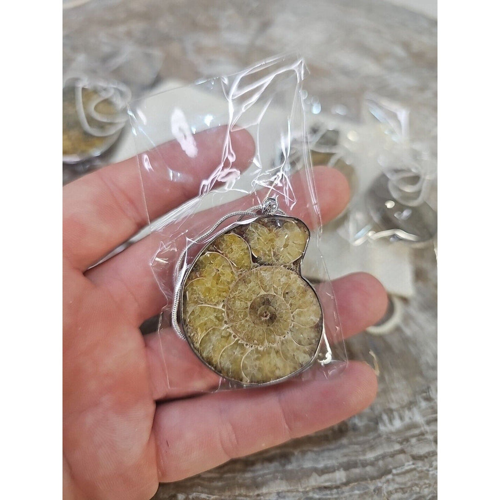 Ammonite Necklace Handmade 1 Pcs With 18in Silver Chain