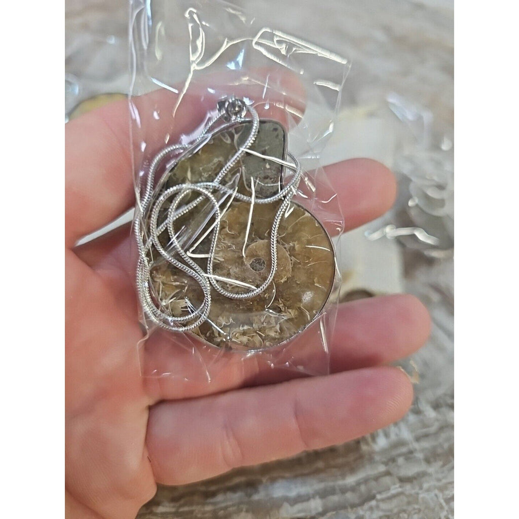 Ammonite Necklace Handmade 1 Pcs With 18in Silver Chain