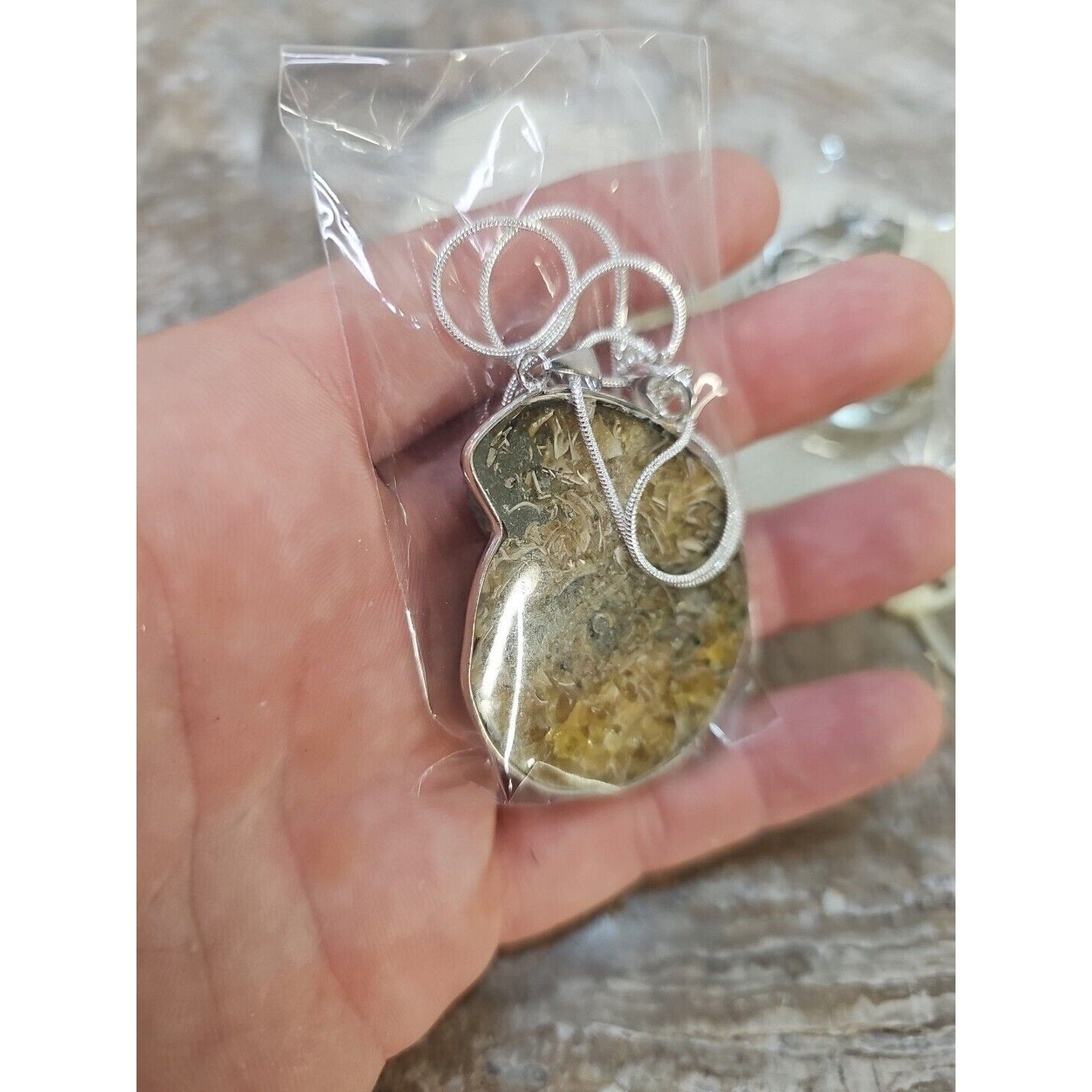 Ammonite Necklace Handmade 1 Pcs With 18in Silver Chain