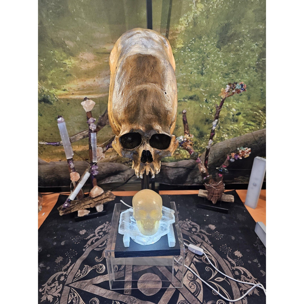 Skull Statement Piece