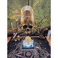 Skull Statement Piece