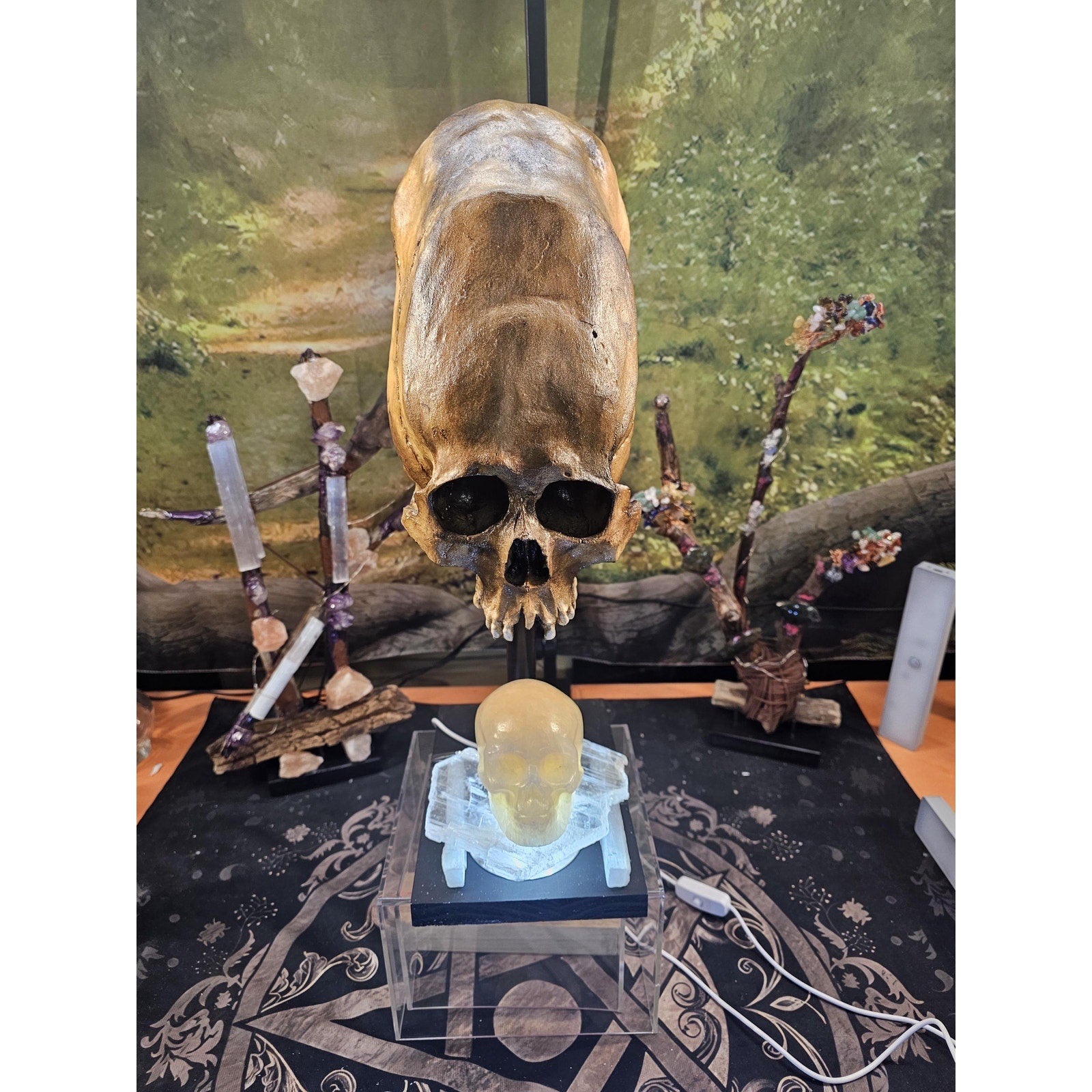 Skull Statement Piece