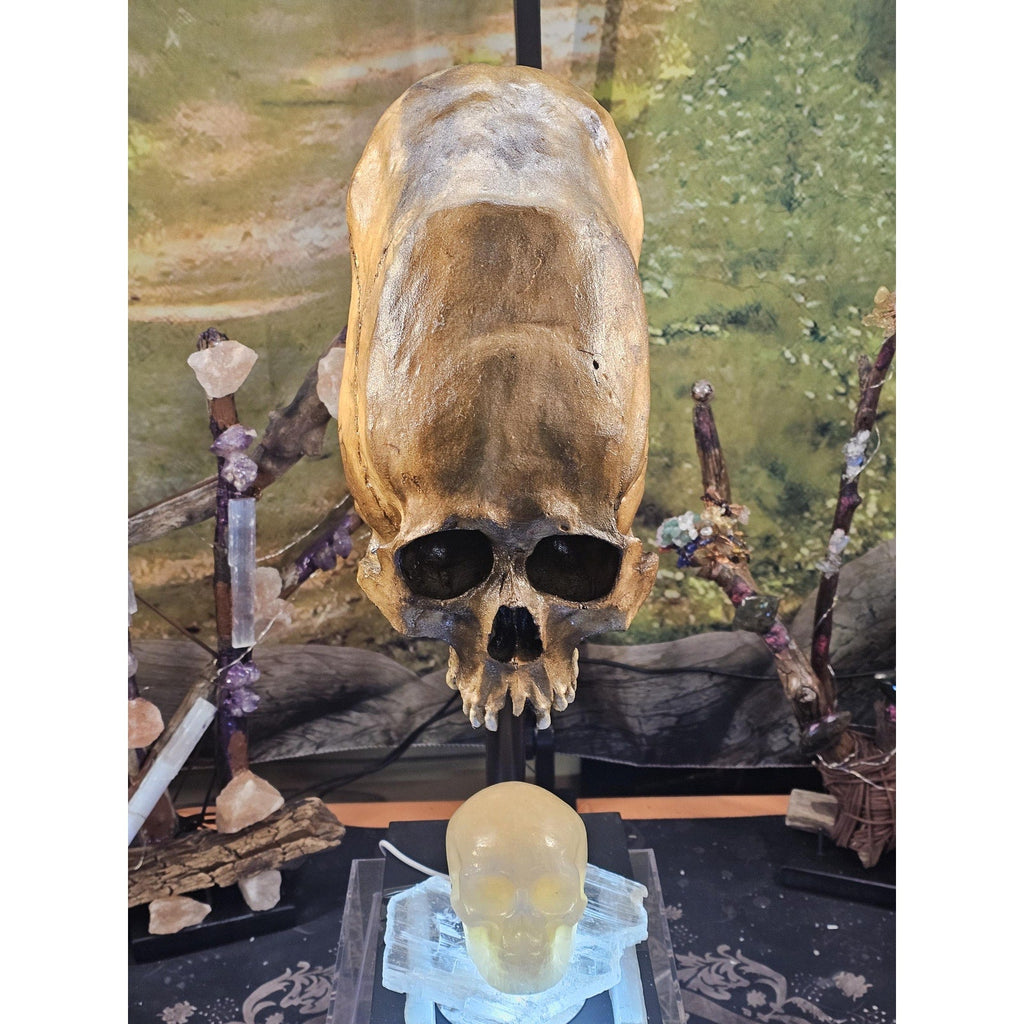 Skull Statement Piece