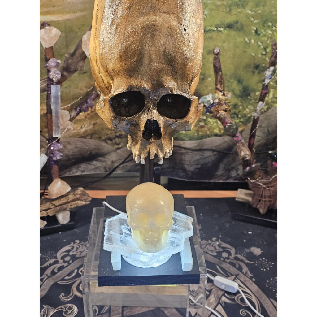 Skull Statement Piece