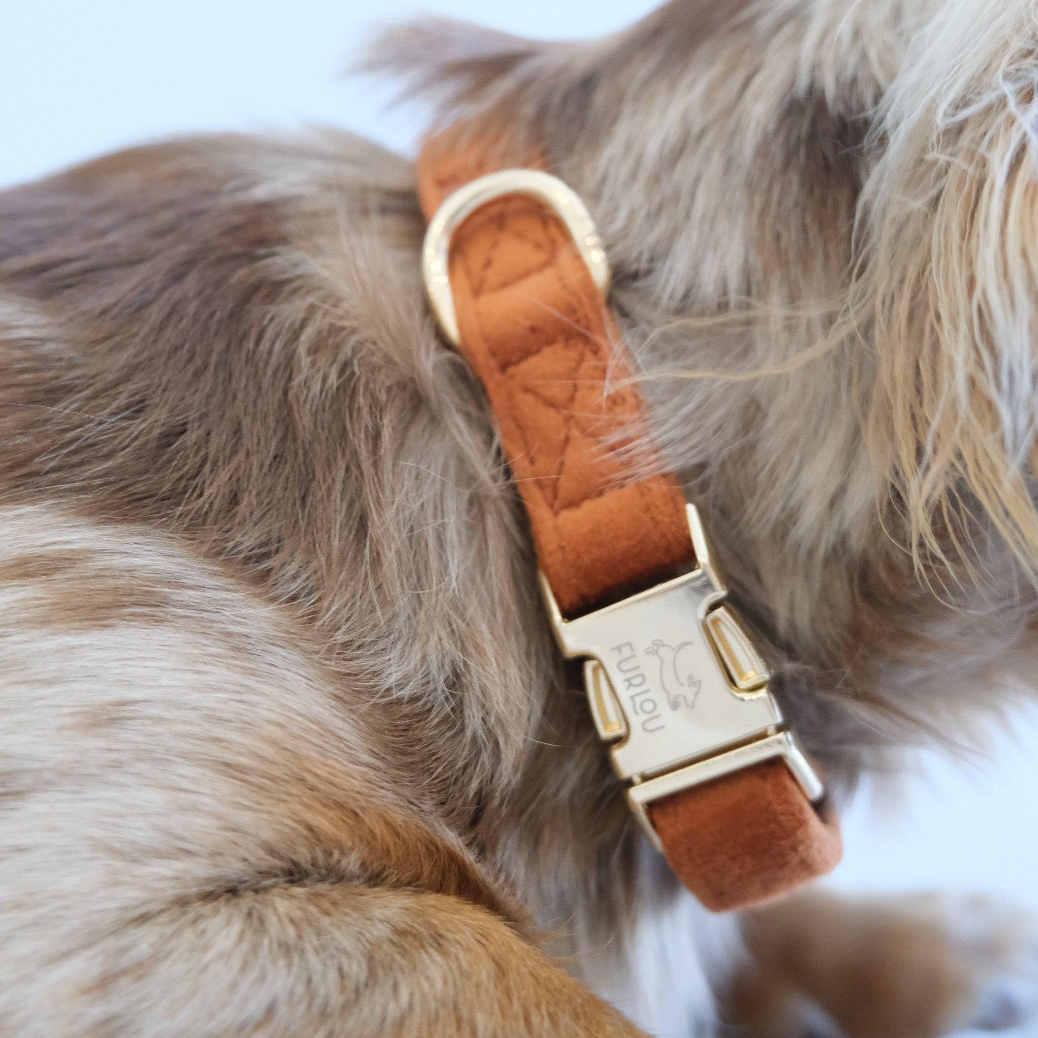 'Clay' - Velvet Dog Collar