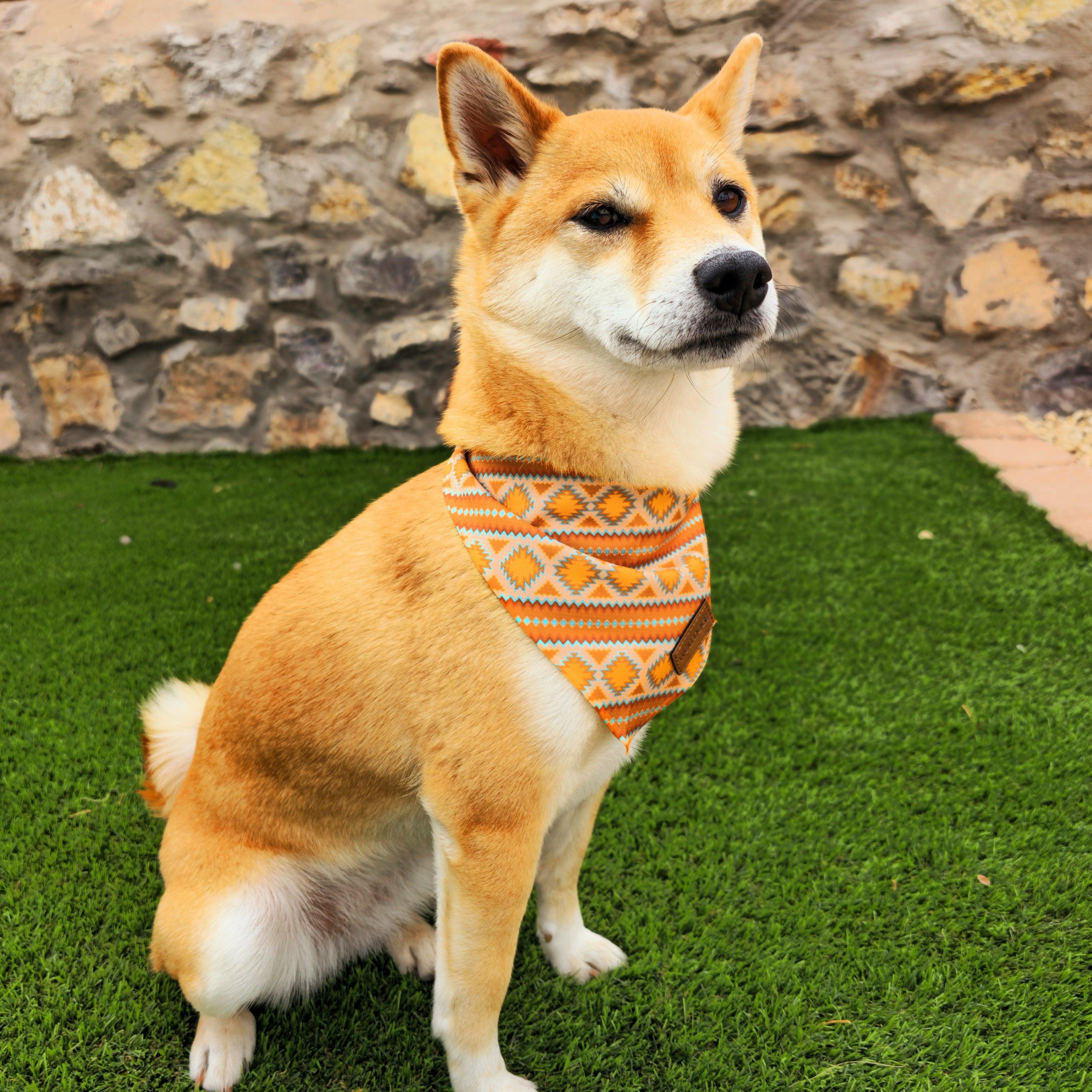 Desert Dream Cooling Bandana