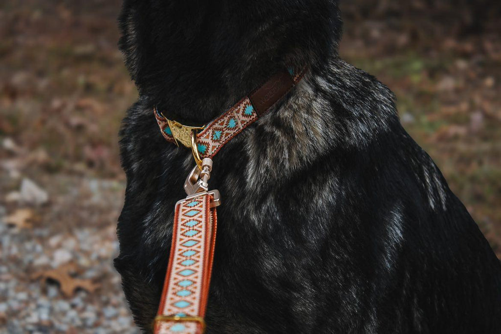 Southwest Spirit Leash