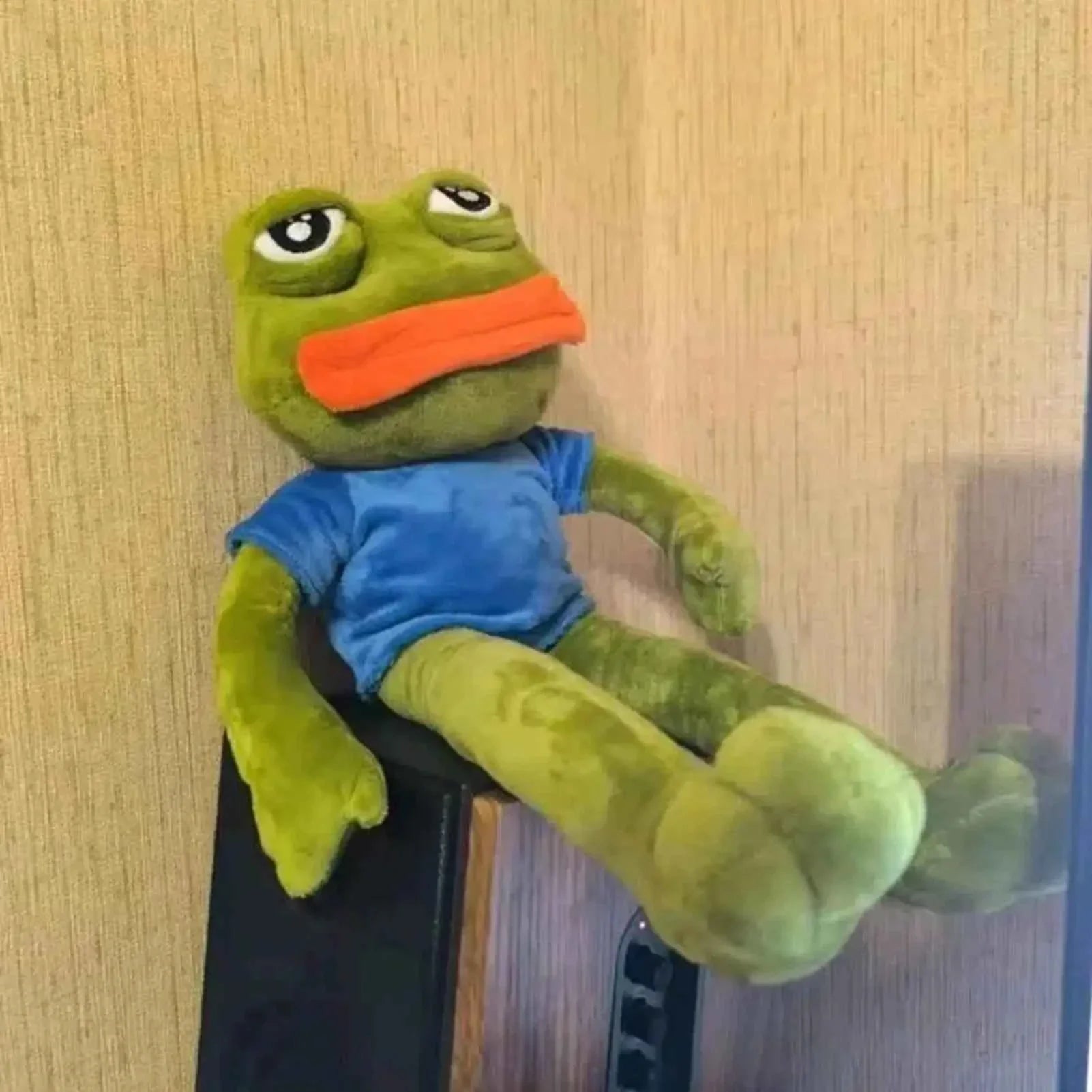 Animal Sad Frog Plush Toy Soft Stuffed Pillow Magic Pepe