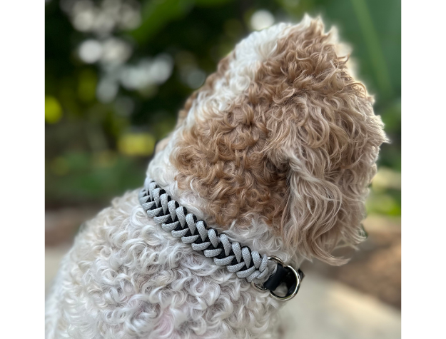 Fishtail Hand Braided Dog Collar in Black & Smoke