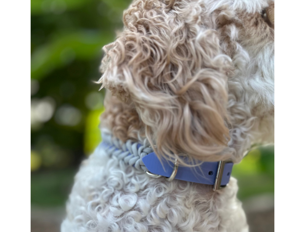 Fishtail Hand Braided Dog Collar in Lavender & Smoke