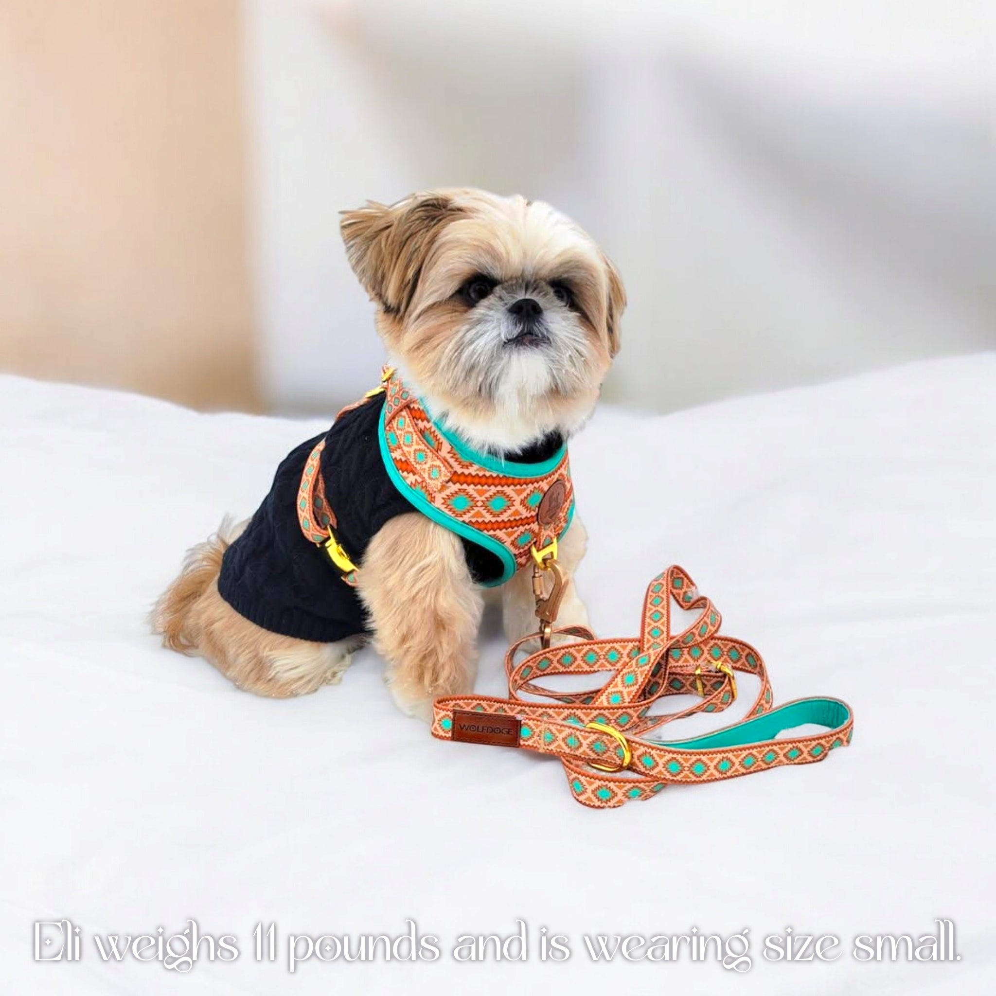 Southwest Spirit Harness