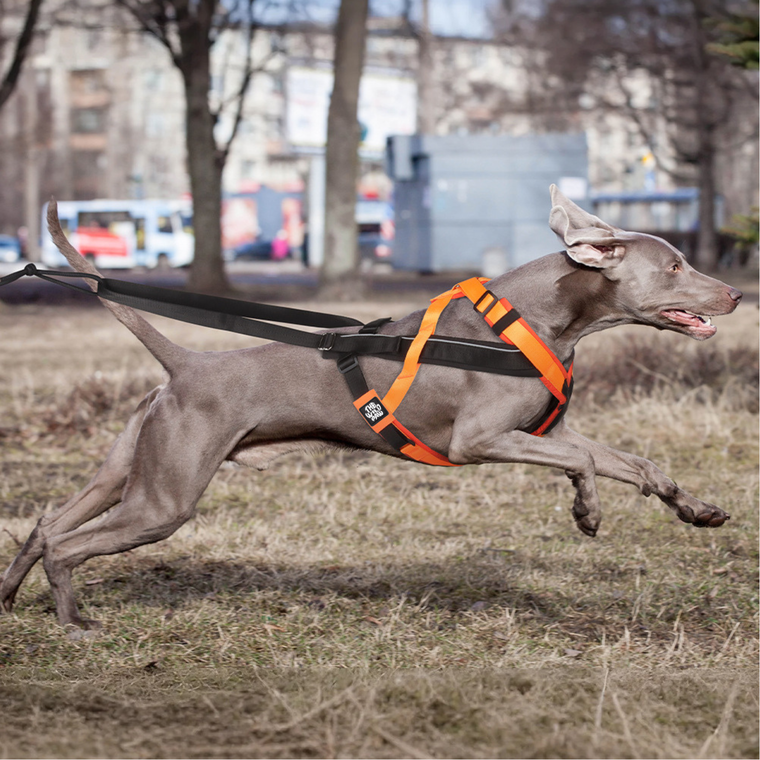 TrailControl No-Pull Harness