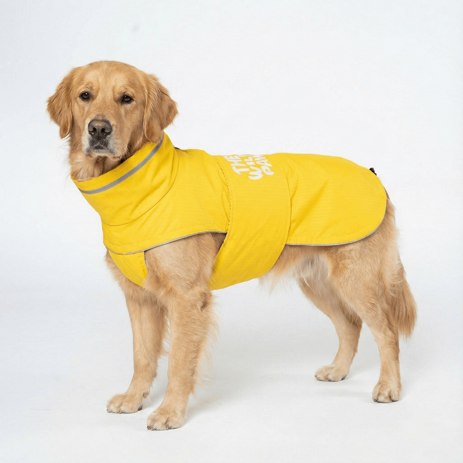WildGuard Rain Coat