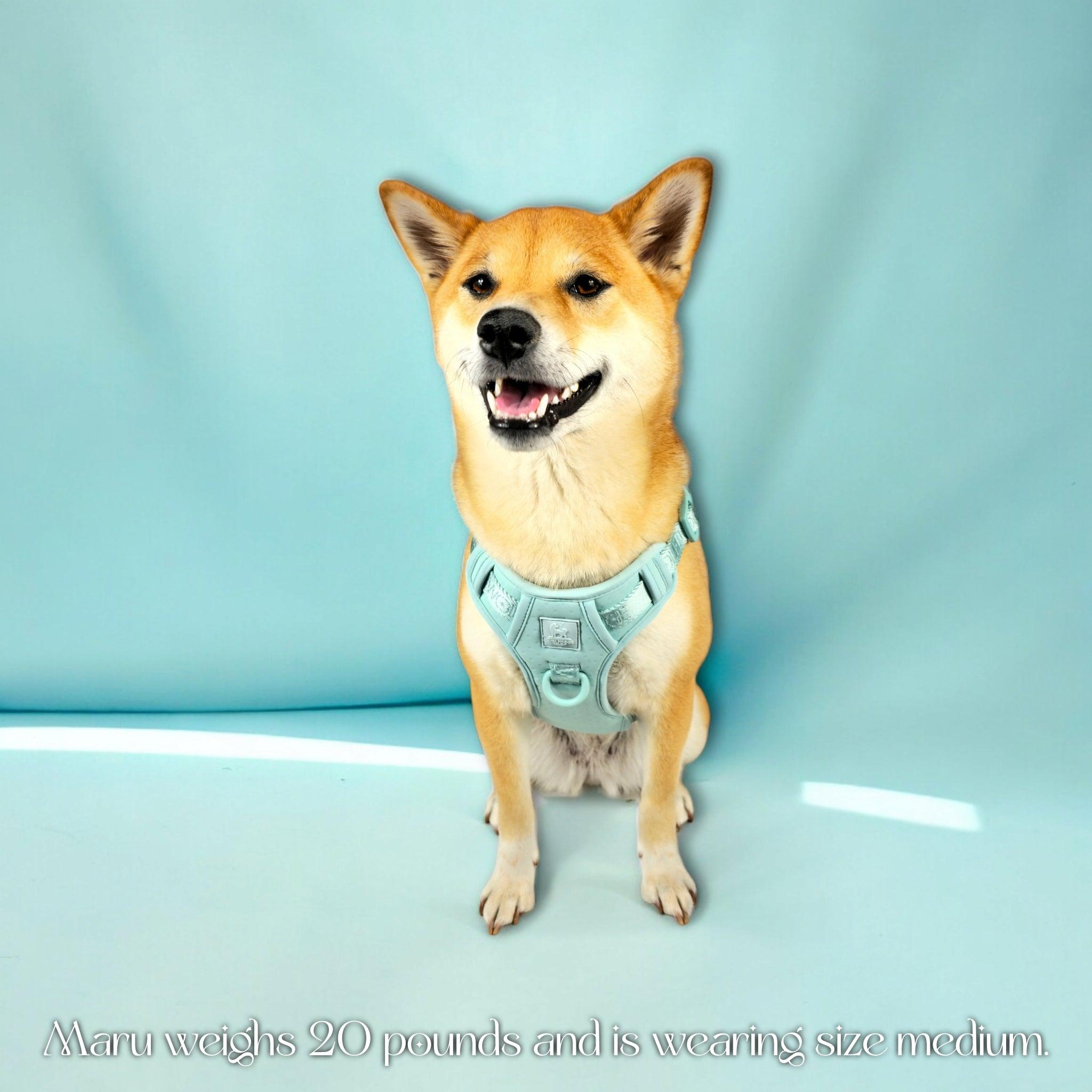Wolfdoge Signature Harness