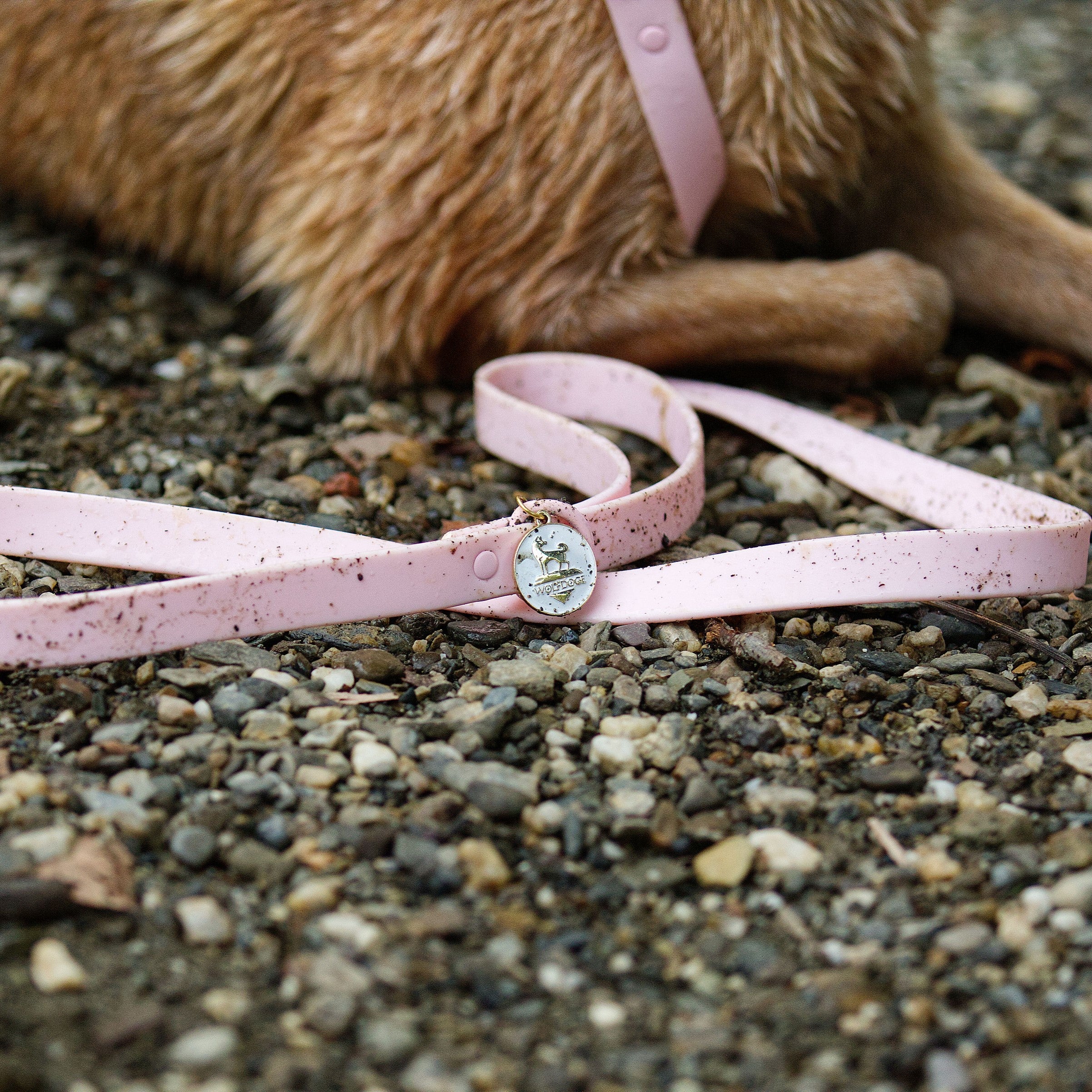 Waterproof Leash