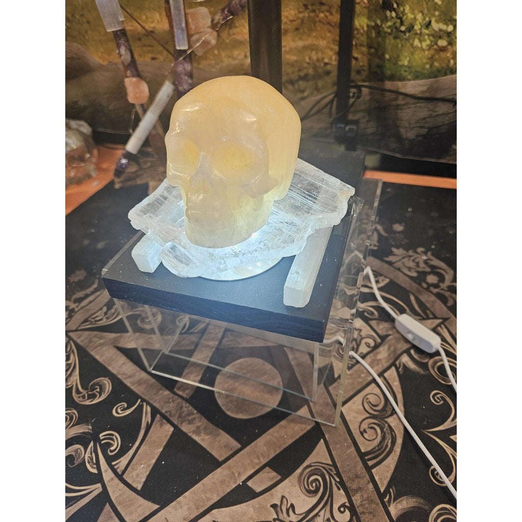Skull Statement Piece