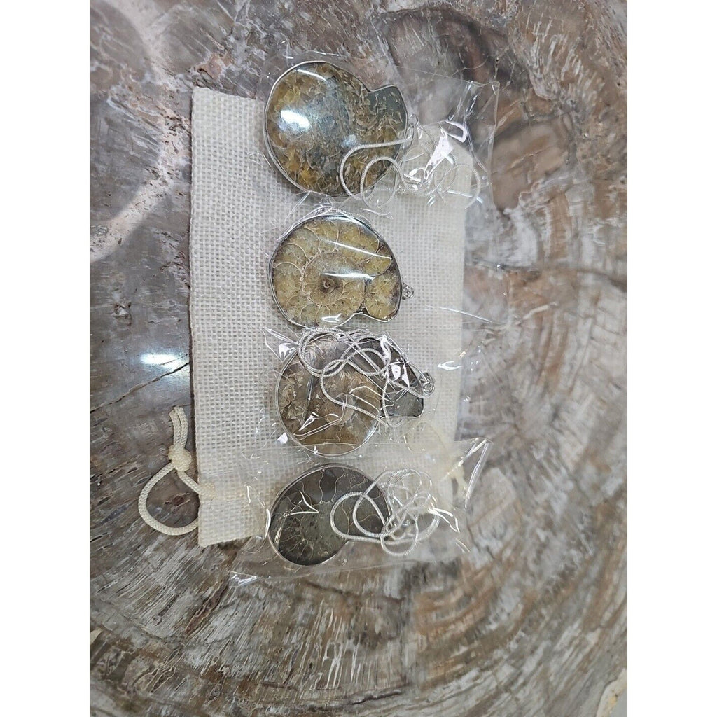 Ammonite Necklace Handmade 1 Pcs With 18in Silver Chain