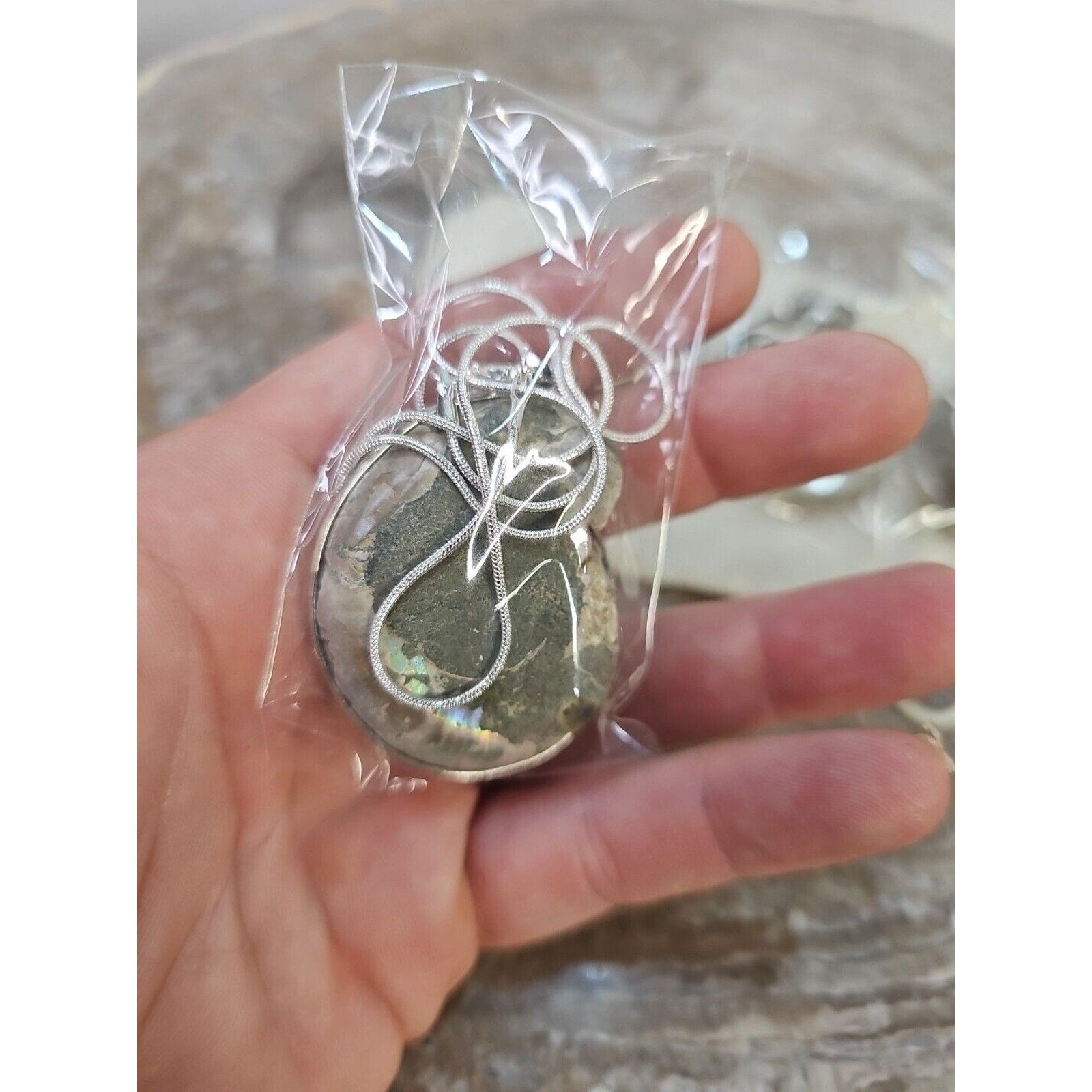 Ammonite Necklace Handmade 1 Pcs With 18in Silver Chain