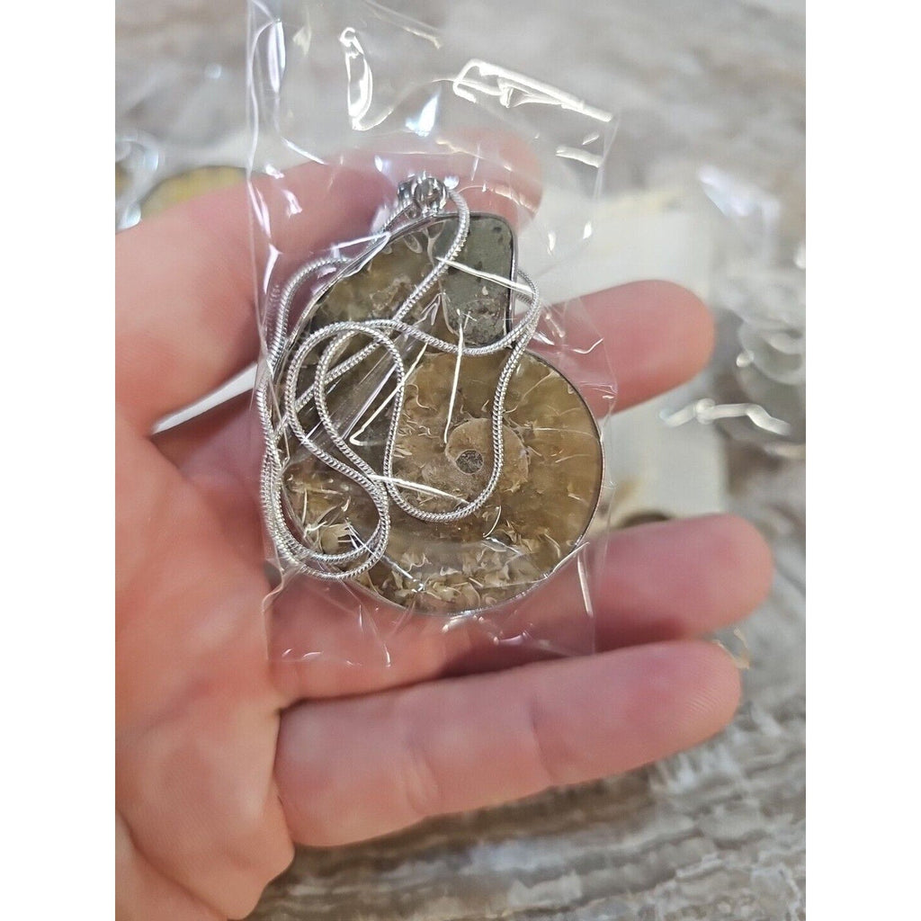 Ammonite Necklace Handmade 1 Pcs With 18in Silver Chain