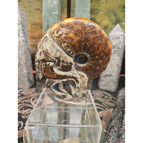 1.26LB Rare! Natural Tentacle Ammonite FossilSpecimen Shell Healing Madagascar